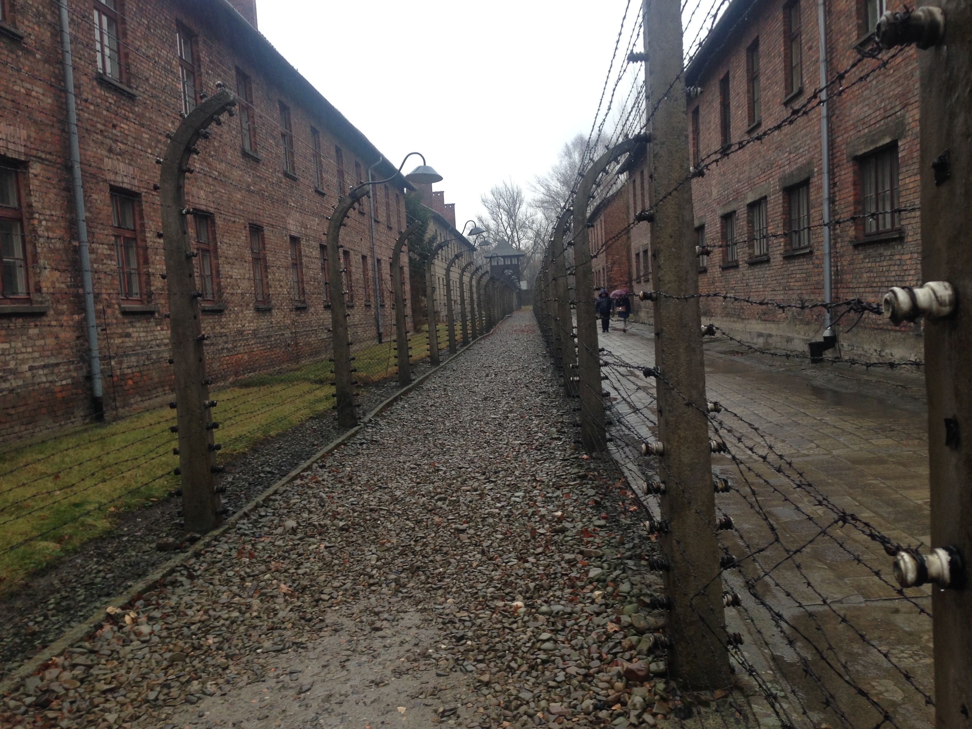 Visitar Auschwitz