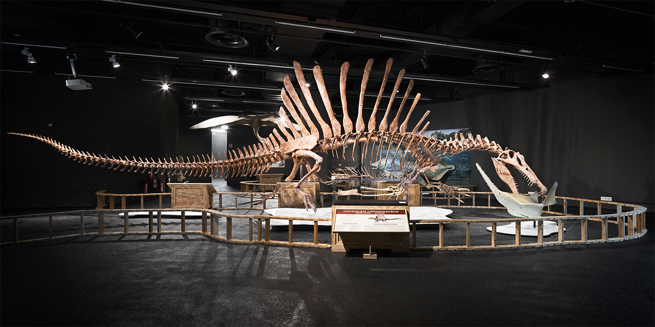 17 Museos Gratis de Barcelona