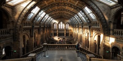 Museo de Historia Natural de Londres