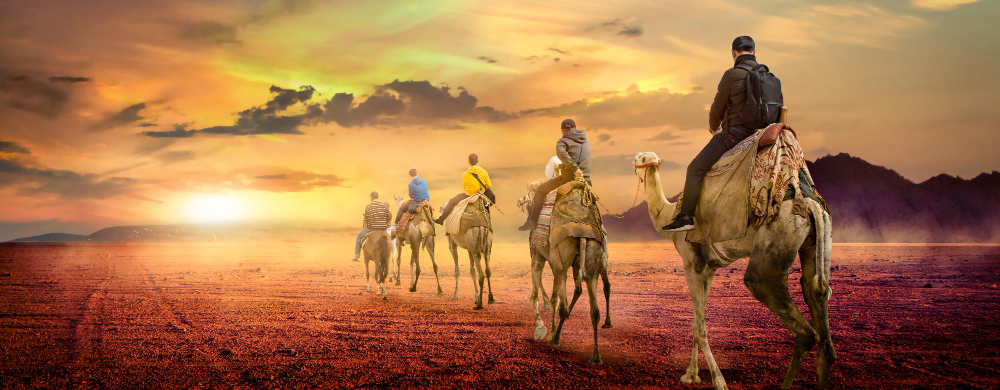 Desierto del Sahara, camellos y turistas de escursión