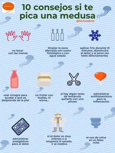 Infografía sobre lo que hay que hacer si te pica una medusa