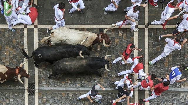 Un grupo de corredores corriendo delante de un grupo de toros en las fiestas de San Fermín